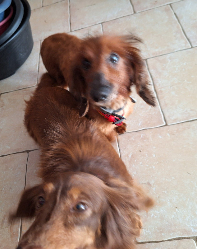 [Image: 20240314-094700.jpg]