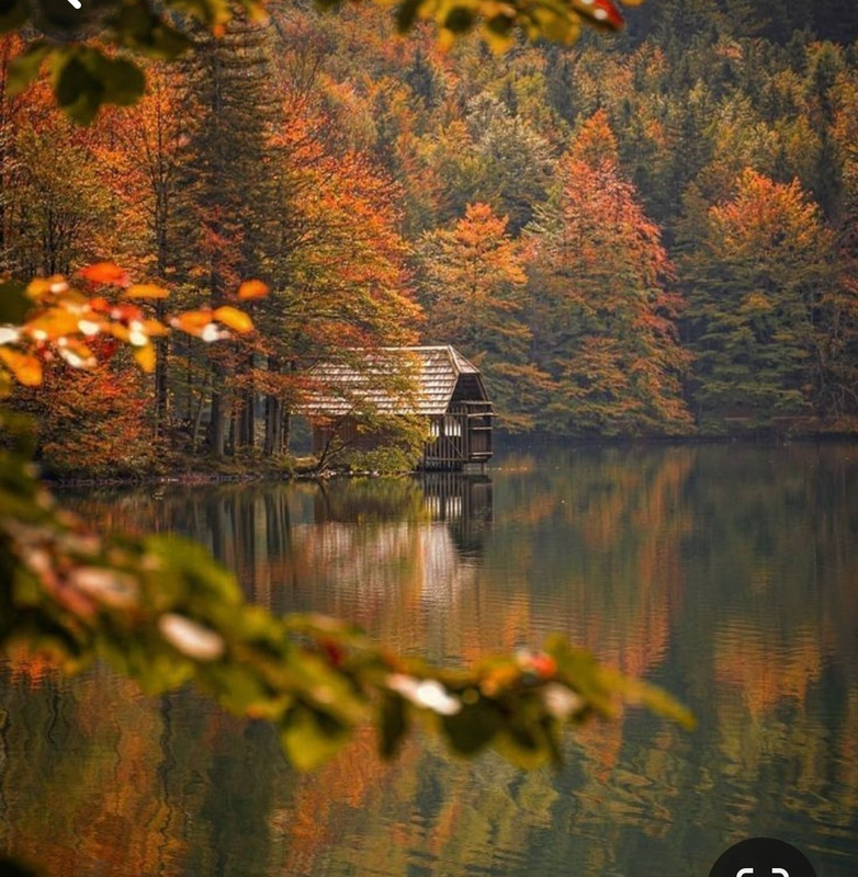 Screenshot_20240131_210150_Pinterest