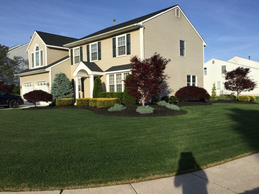 BC38419A-D108-4ED5-89CF-543C6534594A