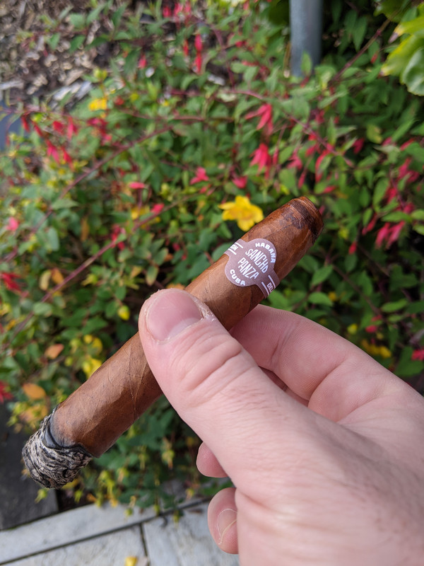 PXL_20201011_160724151