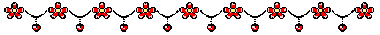 oie-90418-Xky0w-Brt.gif
