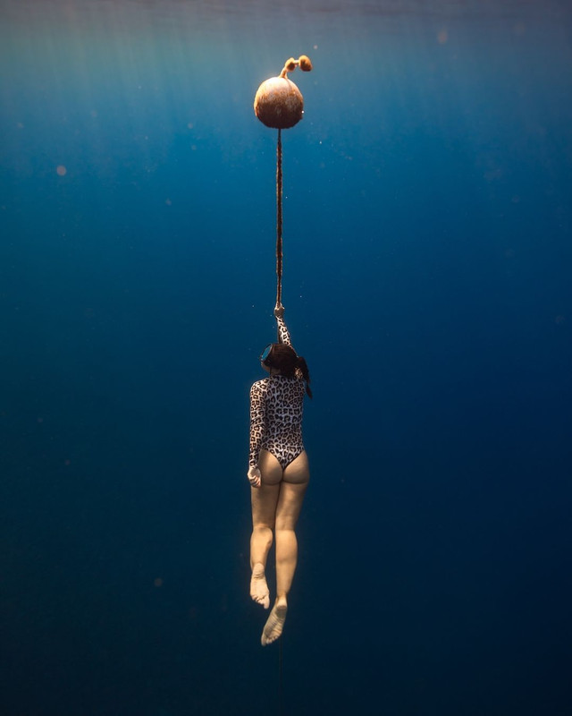 SUR-DIVE368@eslampiko x @vera_giampietro(1)