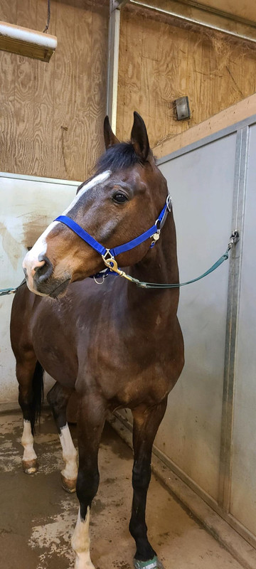 324A2877-FE74-4FD4-9287-65E2B09650BD