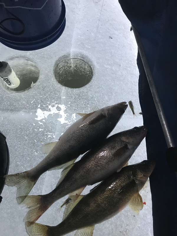 605442D5-7E74-423F-88F5-877CC48C74D5