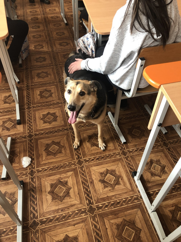 FF7C2DC5-72CE-484F-B49D-13AF106D0F80