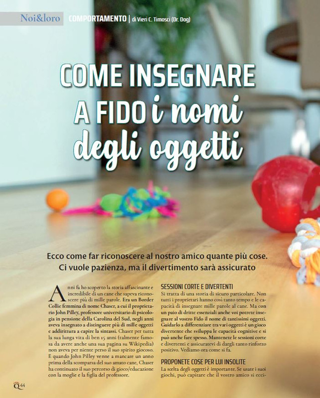 QuattroZampe Nov 2022 (3)