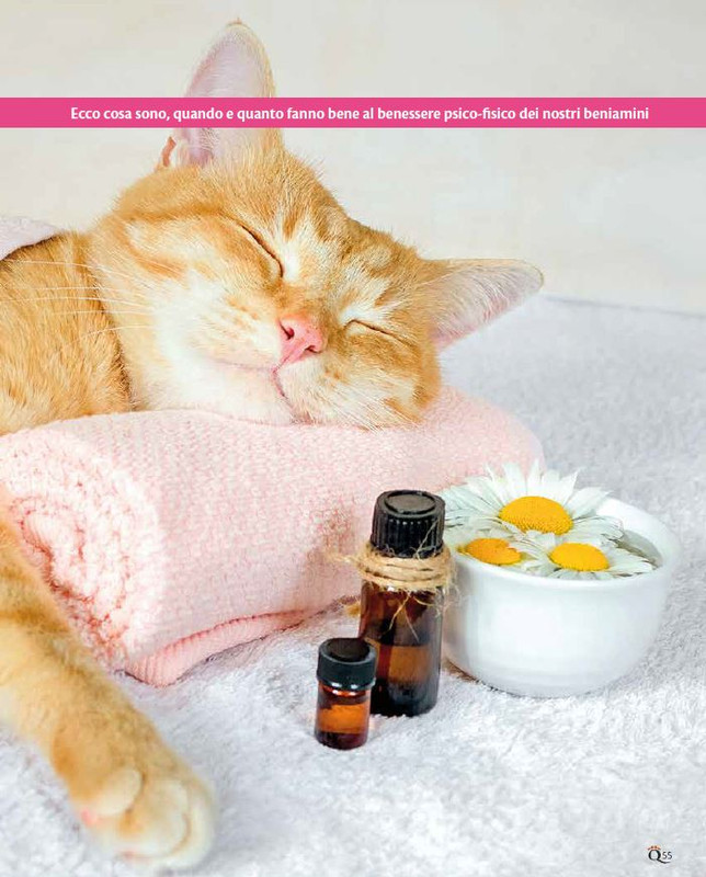 QuattroZampe Dic 2022-Gen 2023 (6)