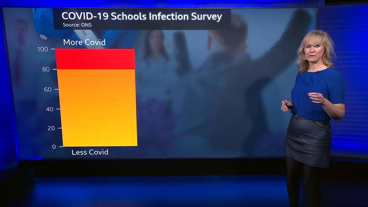 Newsnight - BBC TWO HD - 2020-12-17.ts_snapshot_35.10_[2020.12.17_23.24.46]