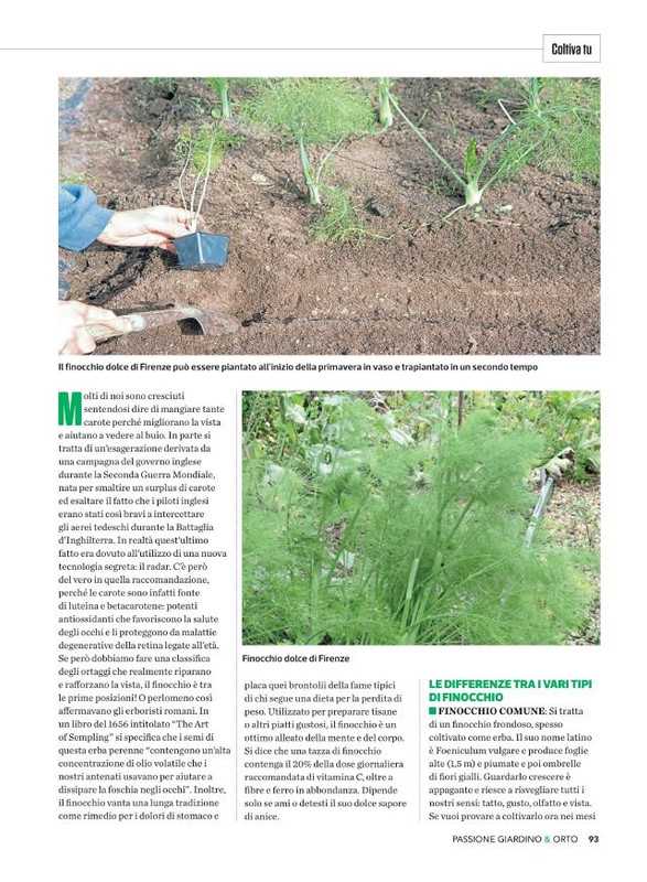 Pass Giar e Orto Lug-Ago-Set 2022 (10)