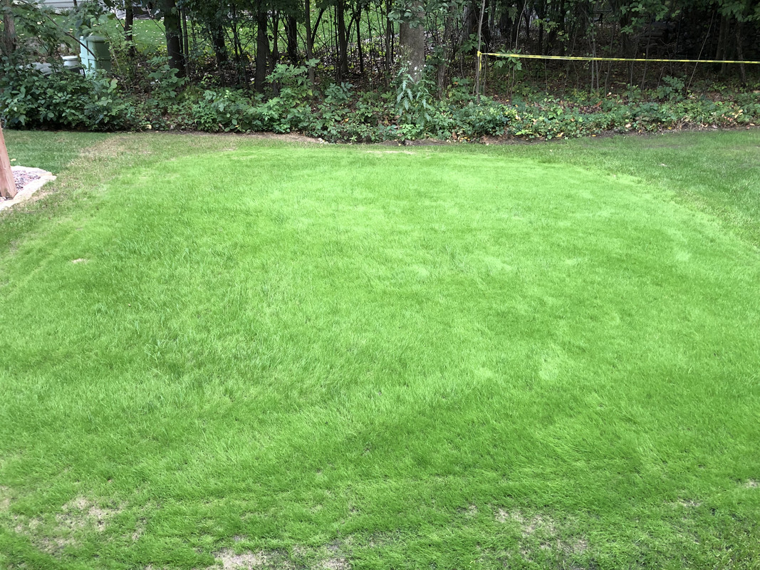 40D07B5B-BB8C-4AA9-83FD-2880183A5958