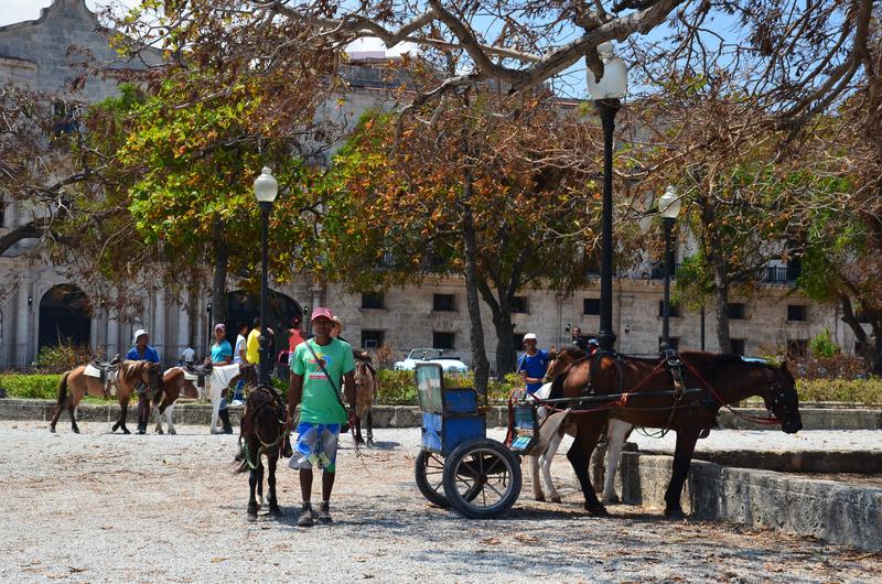 CUBA Y SUS PUEBLOS-1997/2017 - Blogs de Cuba - LA HABANA-16-9-2017 (190)