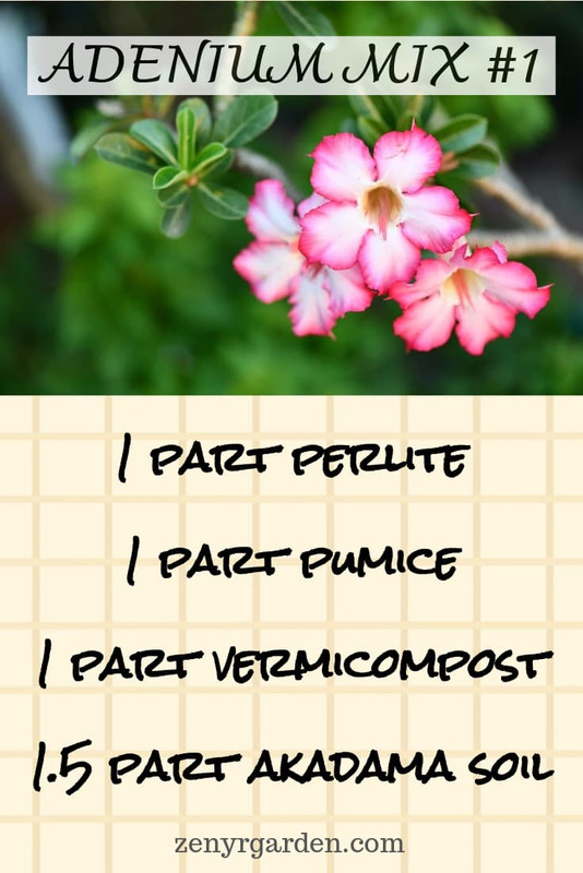 adenium-desert-rose-soil-mix-recipe-one.jpg