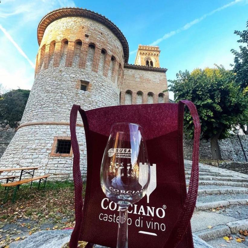 Dal 4 al 6 ottobre a Corciano Castello di vino, dodici le cantine si contenderanno i premi della dodicesima edizione della kermesse dedicata…