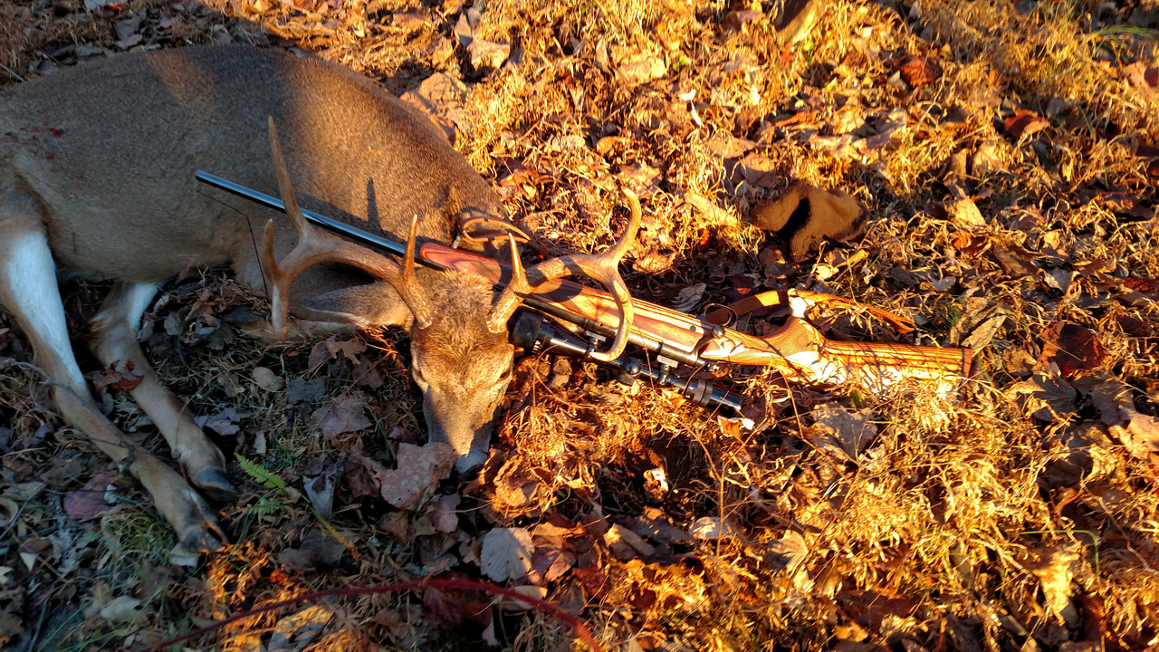 IMG 20151121 072230599