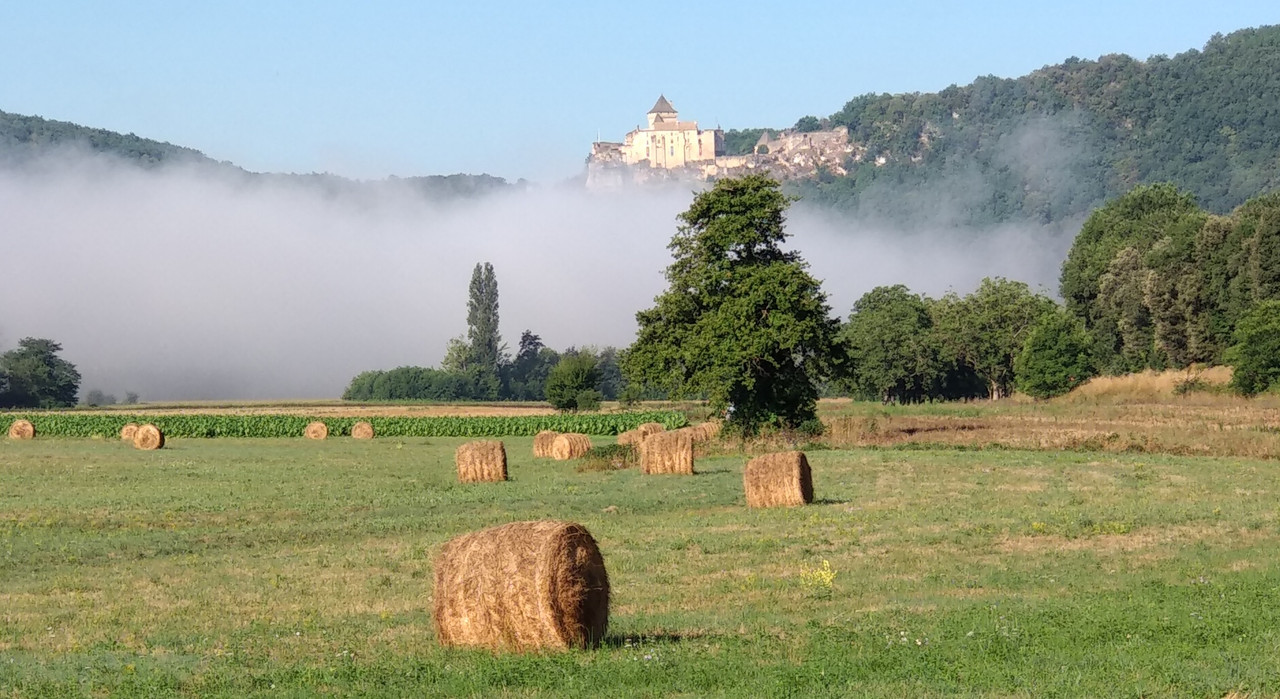 IMG_20190804_090133~01