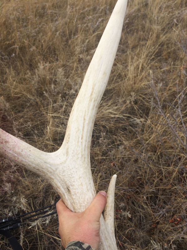 CA4A0CF1-2282-4155-947E-3649B8290929