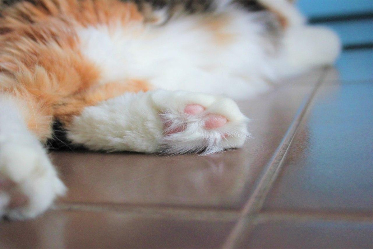 photo_2020-03-13_14-14-20 (2)