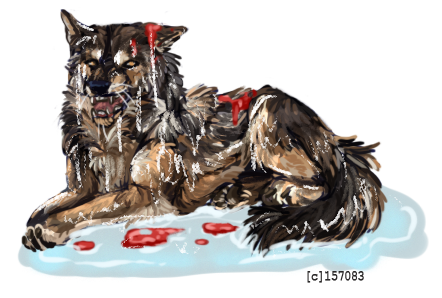 WP-splashed-2.png
