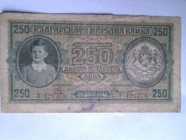 IMAG8392