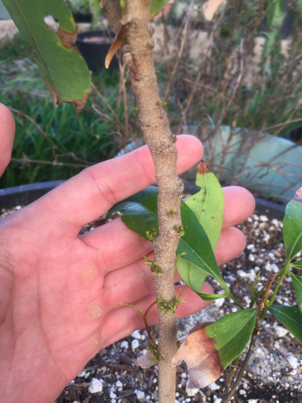 A1899F4D-7AE9-4DE0-ADDE-8B8EDFD289B6