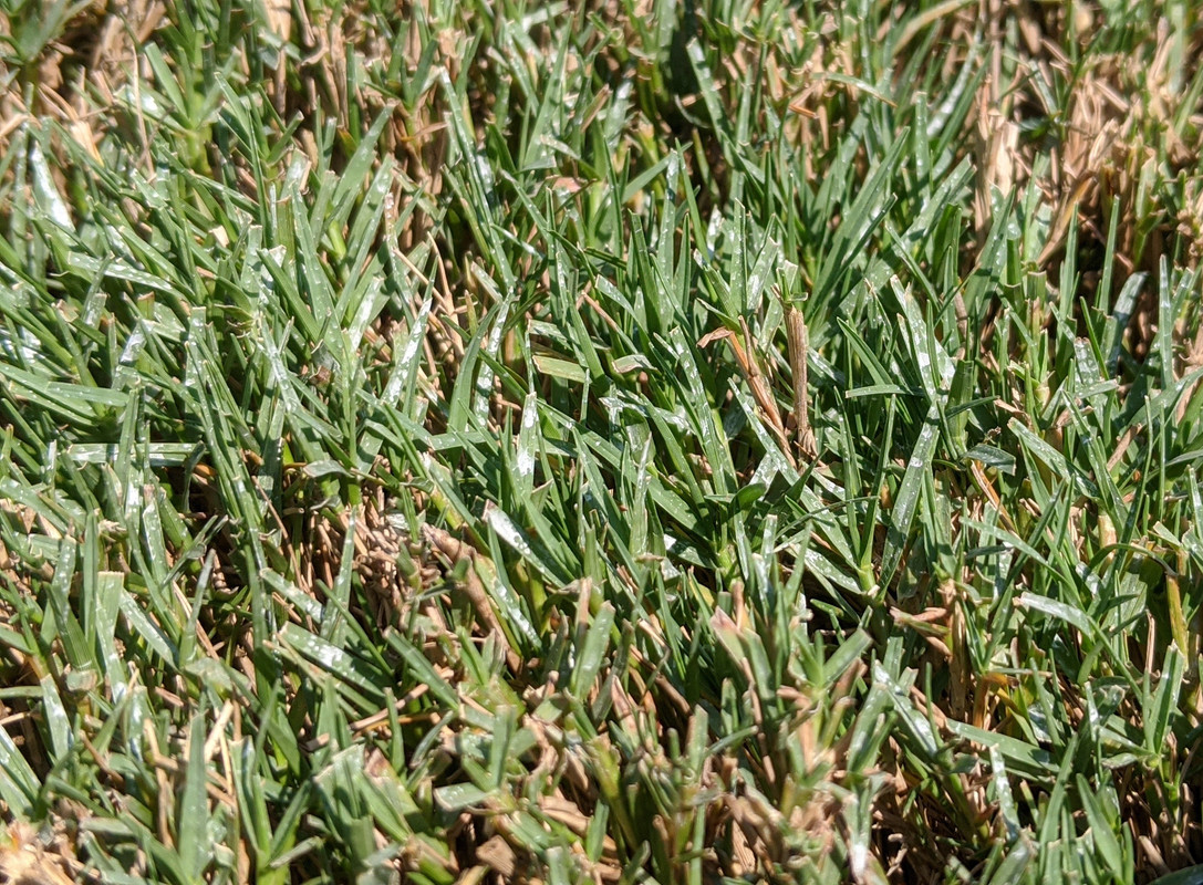 IMG_20200808_121502~2