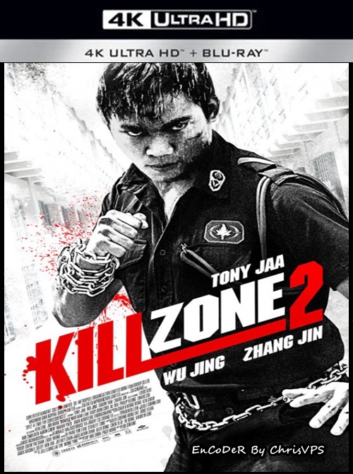 Strefa śmierci: Czas rozliczeń / Kill Zone 2 (2015) MULTI.HDR.2160p.BluRay.DTS.HD.MA.AC3-ChrisVPS / LEKTOR i NAPISY