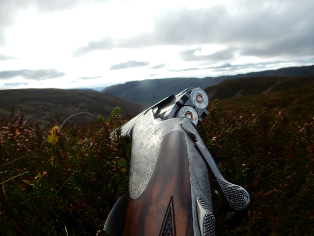 WESTGLENALMOND FIRST DRIVE BUTT 10 7 250920