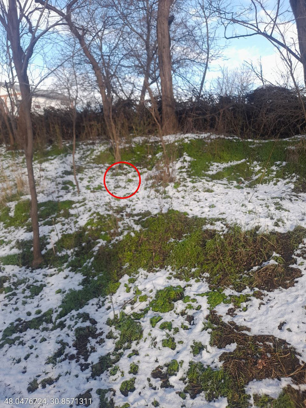 photo 59 2025 12 31 11 33 00