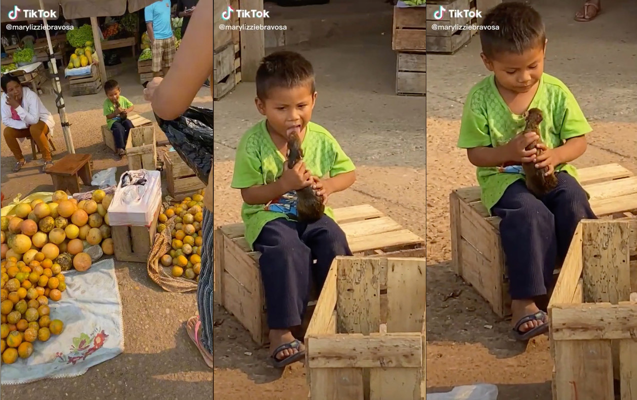 Niño juega con su exótica mascota y hasta le da cariñitos