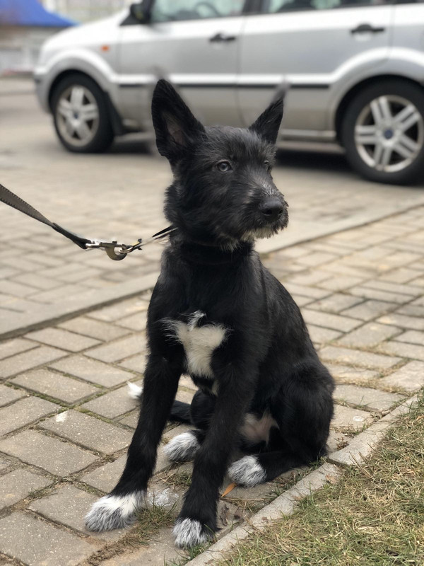 EFF3F995-3405-4030-8B71-2D35A0E665BC