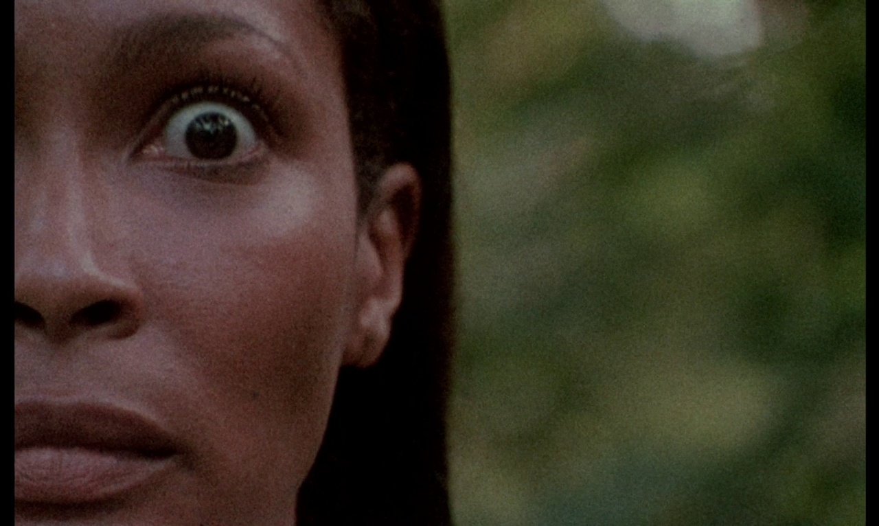 [Obrazek: vlcsnap-2025-10-08-21h06m35s894.png]