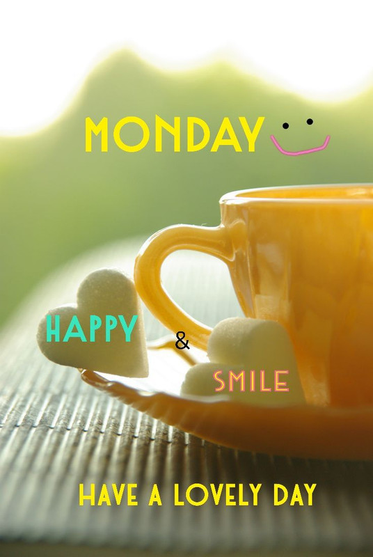 385e9ec37c0ff49323943e16363fd11f