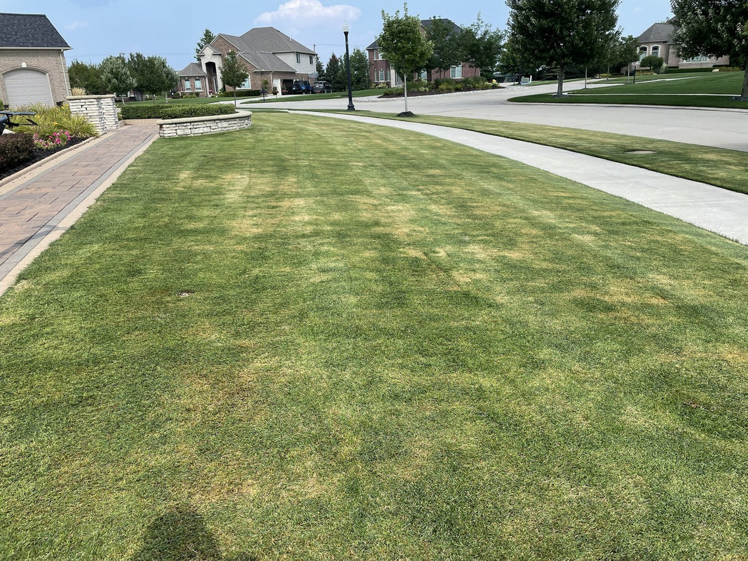 D9B10671-A9C5-4ED1-972D-3226B8390E63