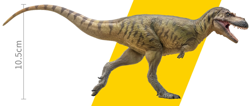 2023 Prehistoric Figure of the Year, time for your choices! - Maximum of 5 PNSO-Albertosaurus