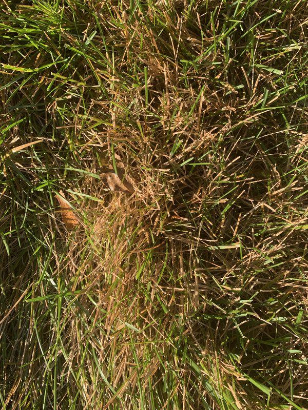 21AA3824-92FC-4DDB-A960-2AE59A83D6DC