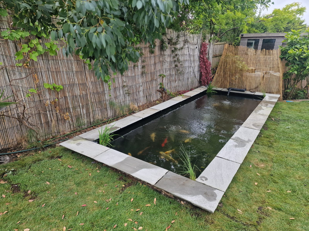 WhatsApp Image 2024-06-29 at 13.36.46