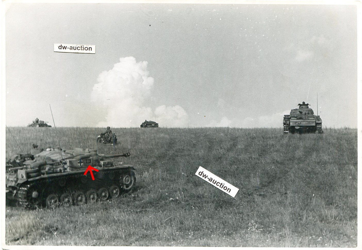 Sturmgeschütz Langrohr mit Wappen Büffel vor Ose