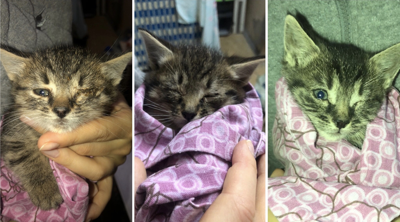 3FE25EEA-F05A-4CA3-BED1-FCBA47BA9C4E