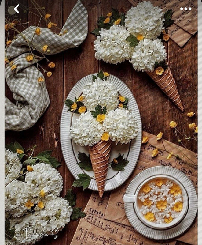 Screenshot_20230905_015053_Pinterest