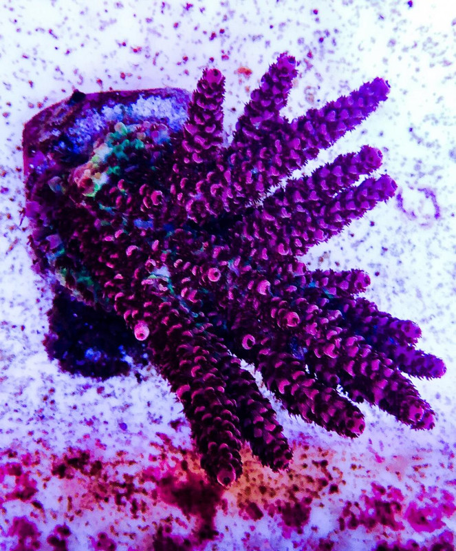 BAADF910-7C24-4964-9BDD-76E356B7CD85