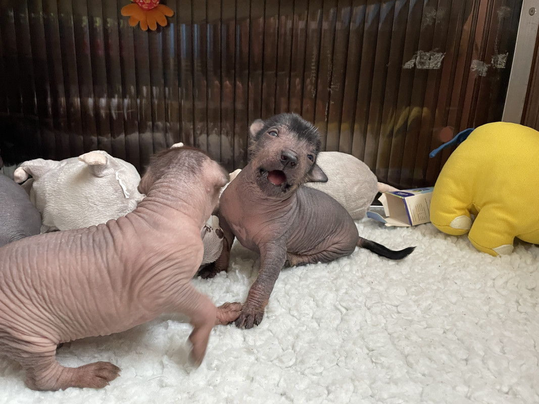 4B69E0A4-5AB6-4240-A304-2A42D11B1B7C