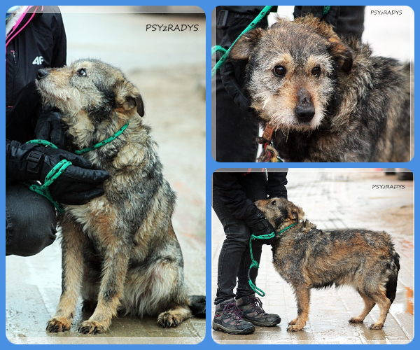 BeFunky-collage (23)