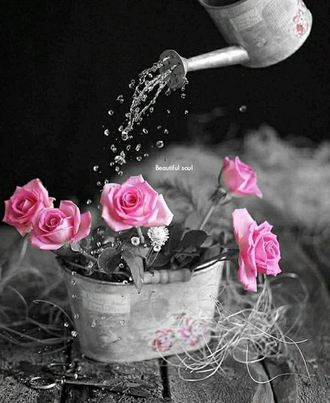 pink-flowers-new.jpg