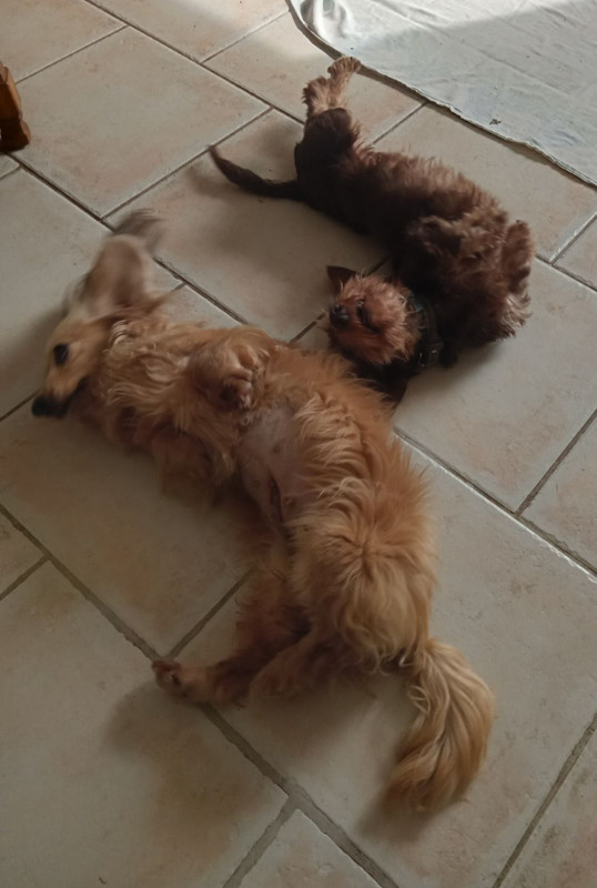 [Image: IMG-20240904-115438.jpg]