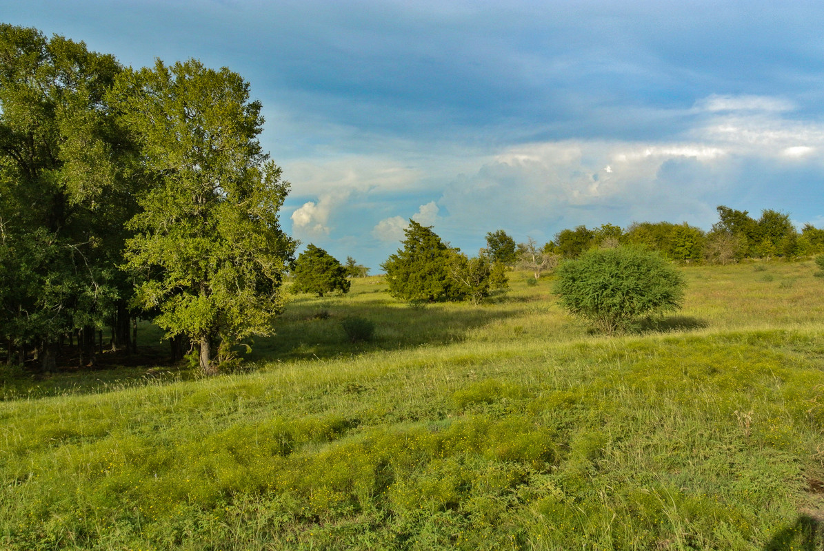 2650 Dillard Road