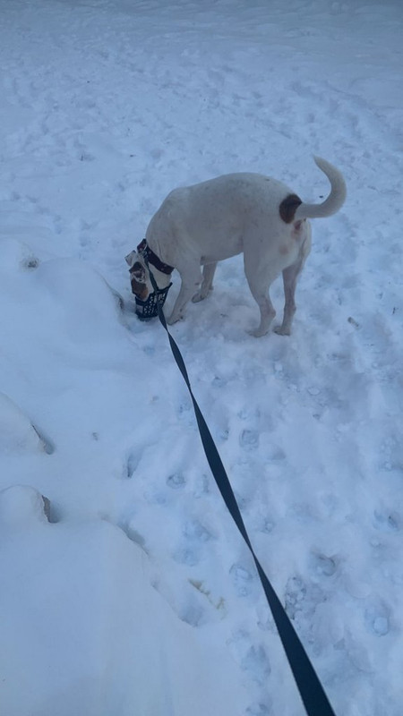 WhatsApp Image 2024-01-17 at 15.24.35 (1)