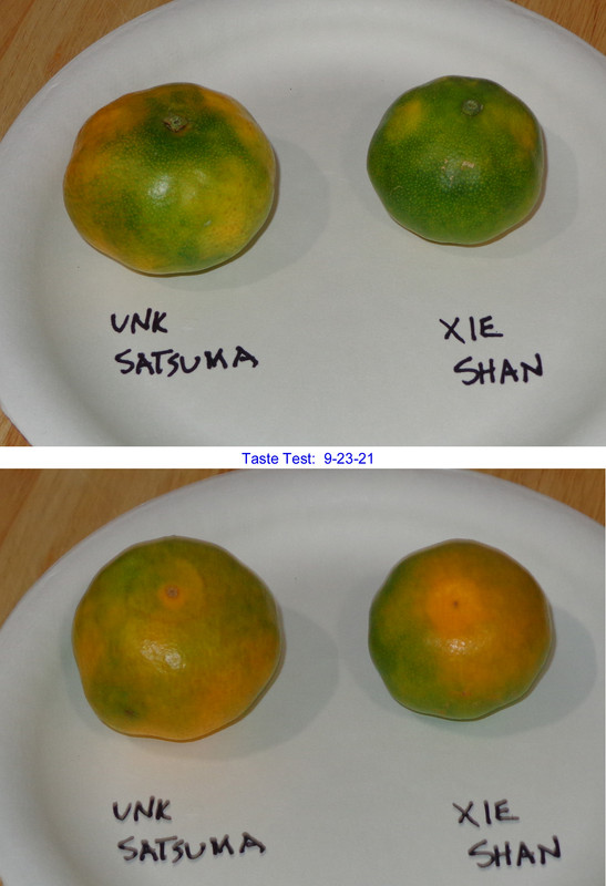 Xie_Shan-P1(9-23-21)