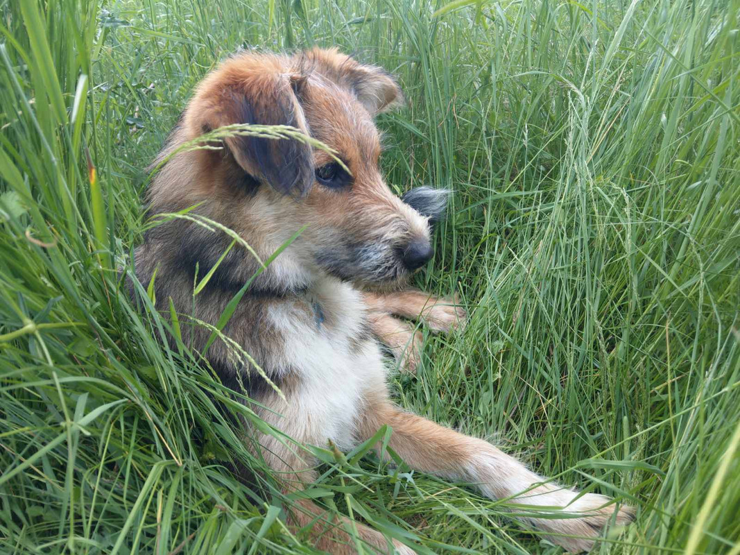 изображение_viber_2020-07-09_21-09-29