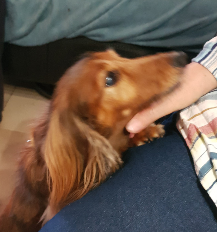 [Image: 20200926-074931.jpg]