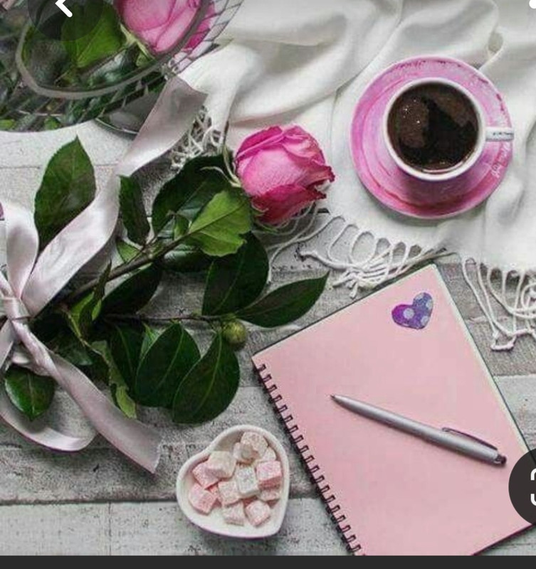 Screenshot_20230718_000012_Pinterest